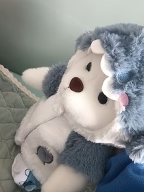 孤悦