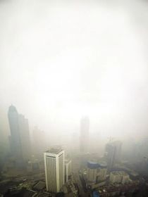 灰夢(mèng)