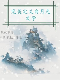 完美定义白月光