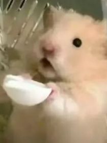 拯救之人