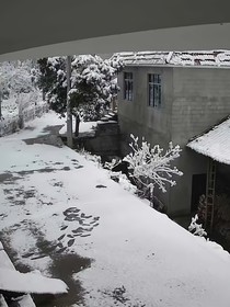 煙雀肆