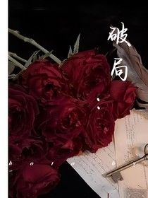 无限流局中梦