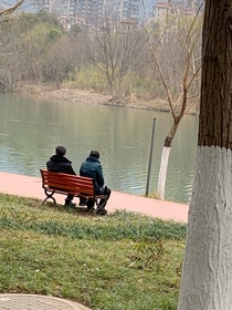 炸虾起司