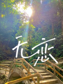 无恋——