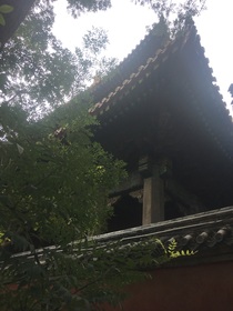 假如与北磐一战只有元禄活了下来
