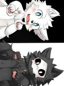 寒翼之獸（更新日志）