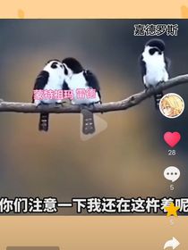 凹凸學(xué)院觀影