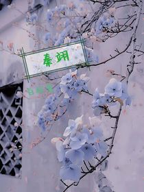 残页