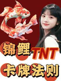 TNT：锦鲤卡牌法则