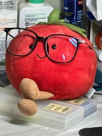 疯子与oc的相互救赎