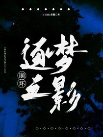 崩坏：逐梦之影
