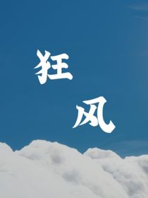弑狂风