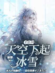 P系列：天空下起冰雪-d403
