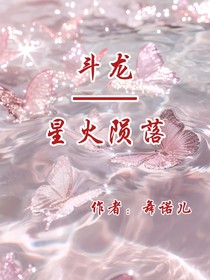 斗龙—星火陨落