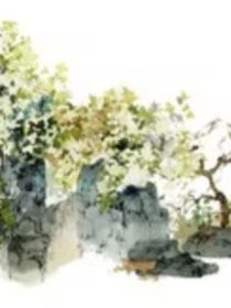 斗龍戰(zhàn)士（然）
