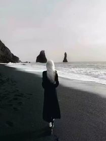 鹌鹑