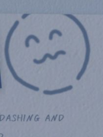 野花的生長(zhǎng)之路