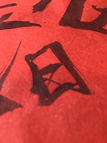 小陽的話癆日常