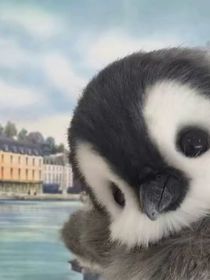 七个夫君
