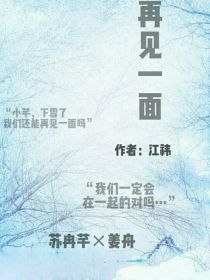 再见一面（随缘更新）