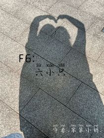 F6：六小只
