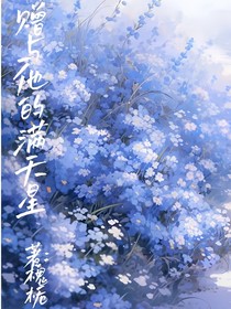 赠与你的满天星