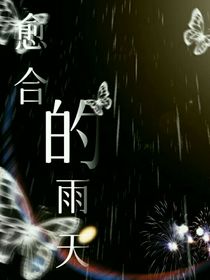 愈合的雨天