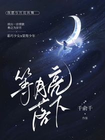等月亮落下