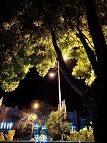 昏黄的路灯