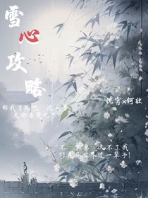 雪心攻略
