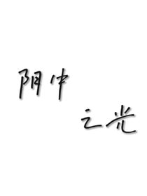 阴中之光