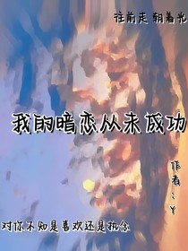 我的暗恋从未成功