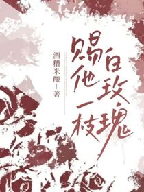 赐他一枝白玫瑰