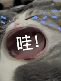 不得不写的作文周记