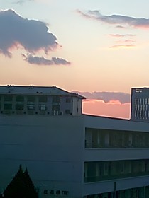 月会待我陪伴