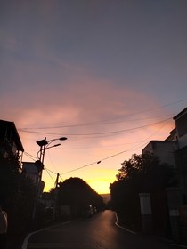 为你谱写的歌