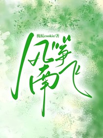 风筝南飞