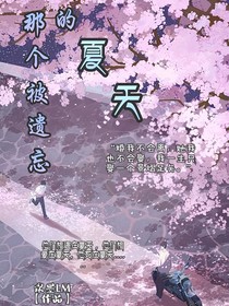 那个被遗忘的夏天