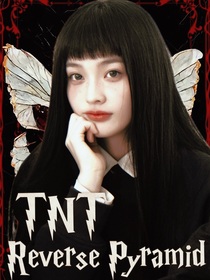 TNT：反轉(zhuǎn)金字塔計劃