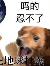 今朝又在干正经事