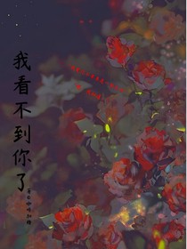 我看不见你了