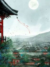 镜中龙凤
