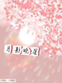 TF三代：月影晓星-d677