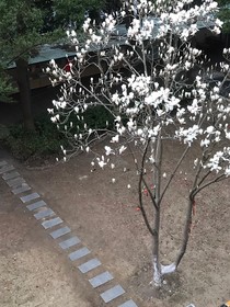 班长姐姐看上我