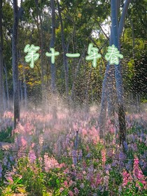 第十一年春