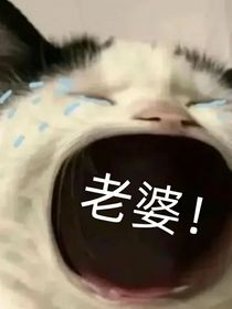 塞納河小海王，我愛所有姐姐