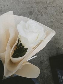 恋综男神严浩翔