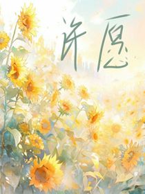 许愿了