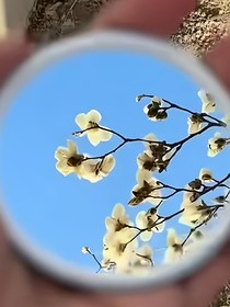 重生之我是皇帝亂棍打死和我重名的人