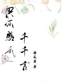 只你感我千万言